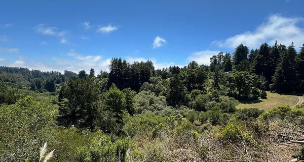 $5,999,999 | 5601 Freedom Boulevard, Aptos, CA 95003