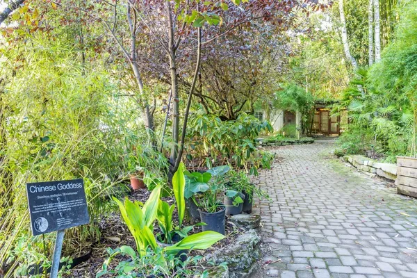 $5,999,999 | 5601 Freedom Boulevard, Aptos, CA 95003