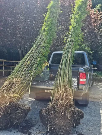 $5,999,999 | 5601 Freedom Boulevard, Aptos, CA 95003