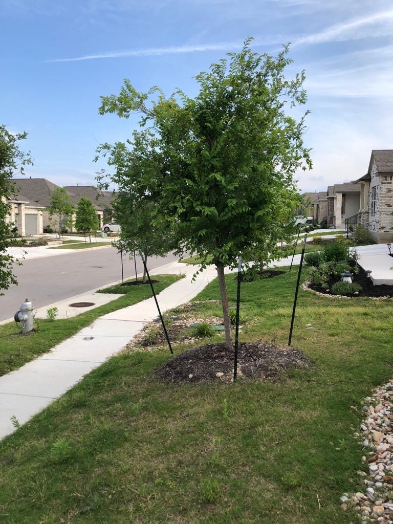 1621 Brueggerhoff Road Leander, TX 78641 - Photo 26 of 28