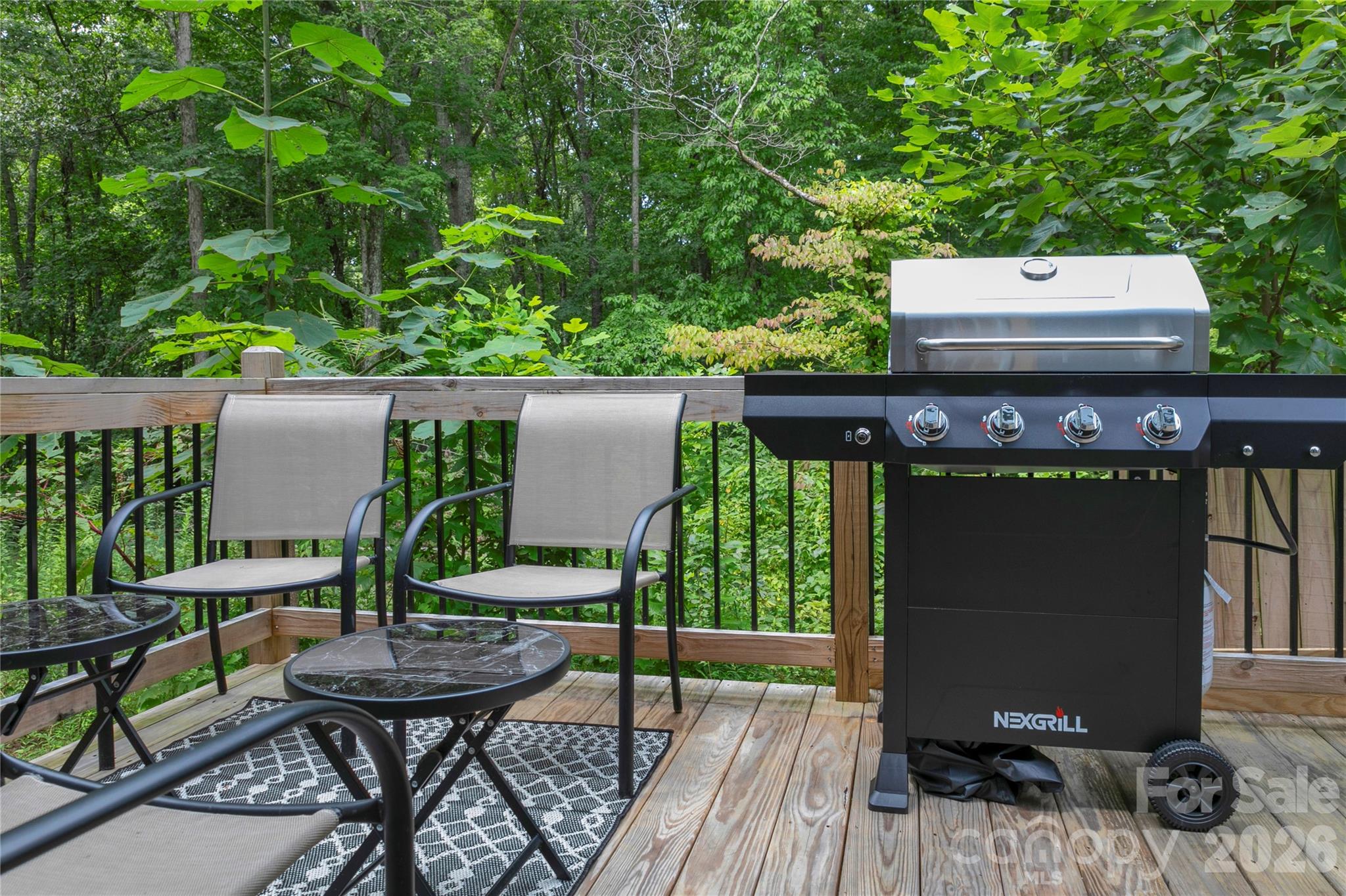 428 Emmas Grove Road Fletcher, NC 28732 - Photo 22 of 35