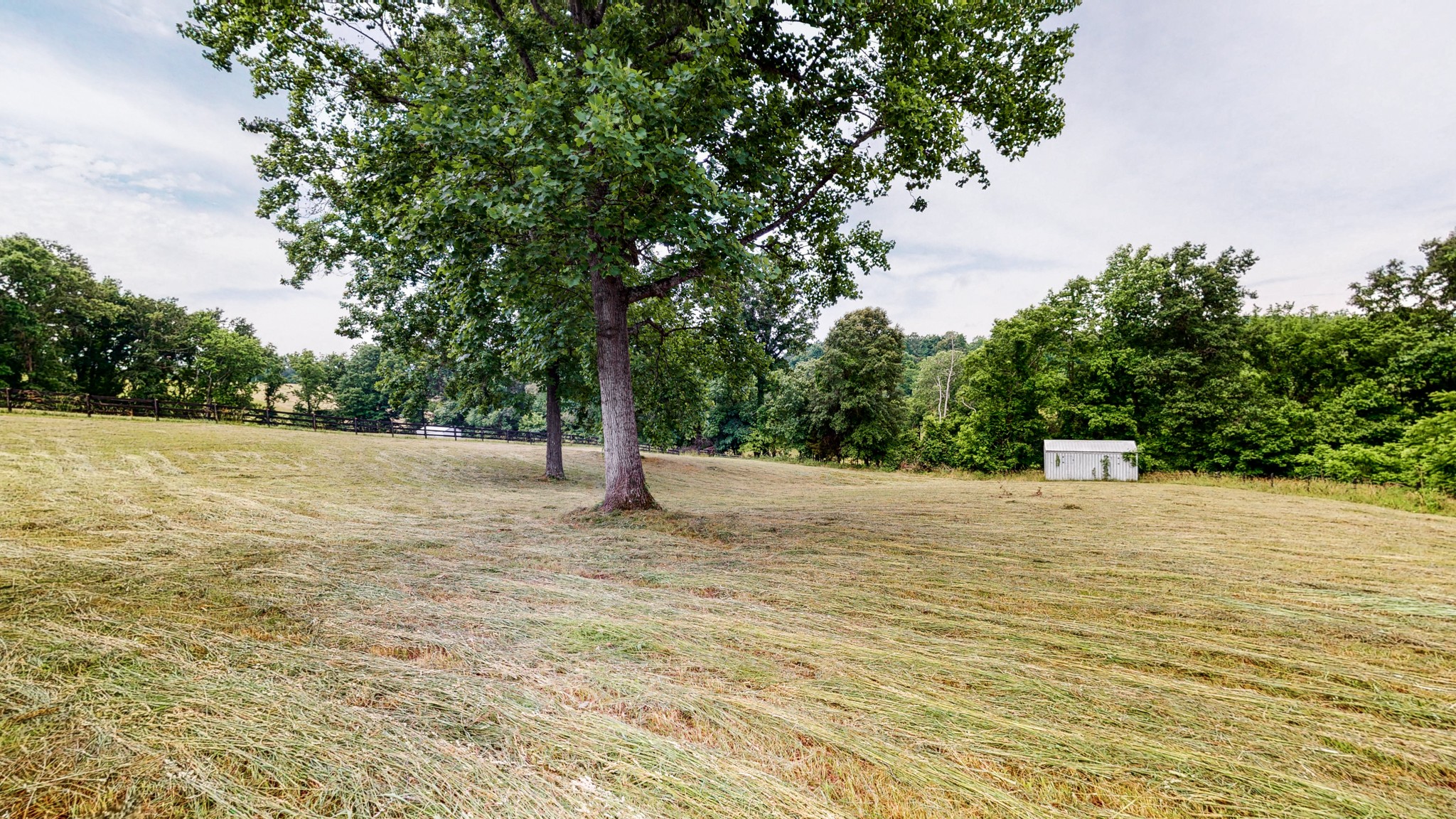 885 Southerland Road Dickson, TN 37055 - Photo 36 of 40 a view of a yard with a tree