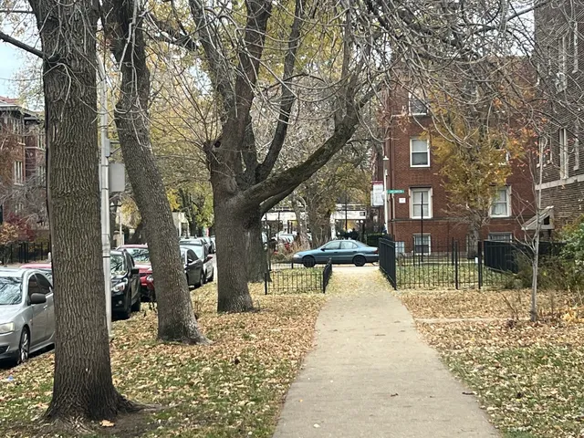 a view of a yard with plants and trees