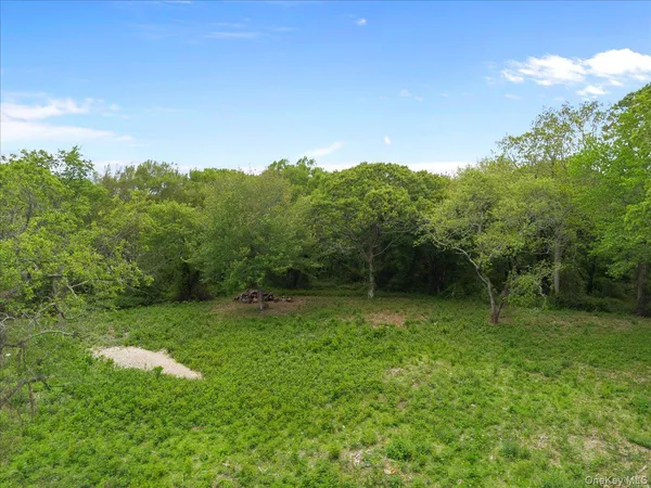 a view of a grassy area with an trees