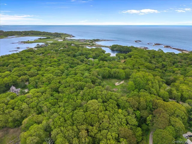 a view of a lake with a building in the background