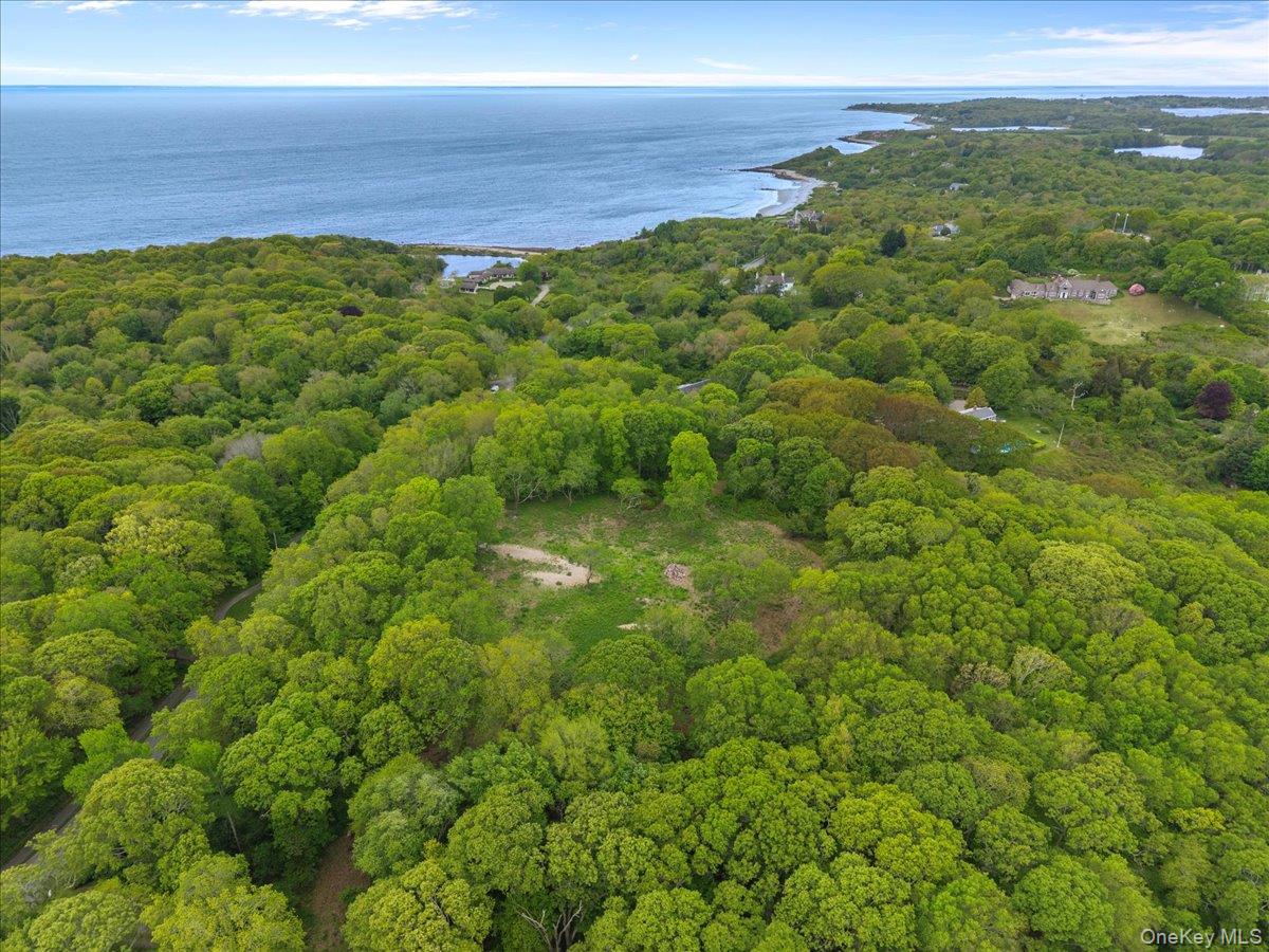 0 East End Road Fishers Island, NY 06390 - Photo 15 of 21 a view of a big yard with lots of trees