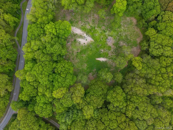 a view of backyard with green space
