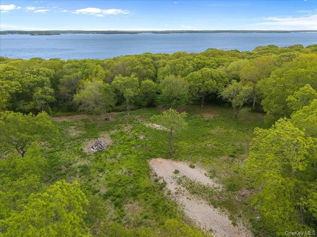 a view of outdoor space with green field and trees