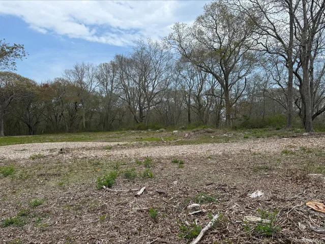 a view of outdoor space with trees