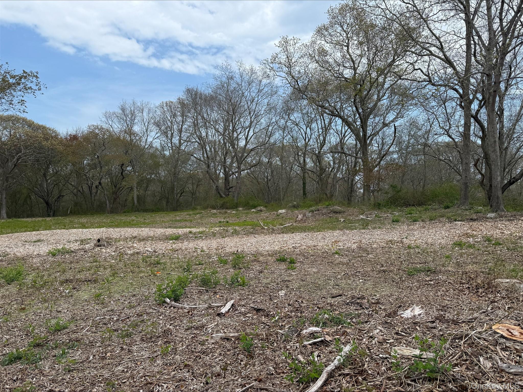 0 East End Road Fishers Island, NY 06390 - Photo 18 of 21 a view of backyard with green space