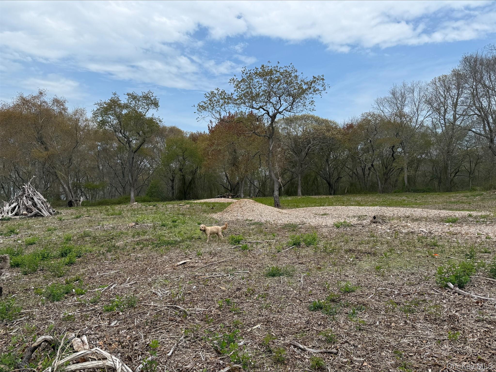 0 East End Road Fishers Island, NY 06390 - Photo 19 of 21 a view of outdoor space with green field and trees