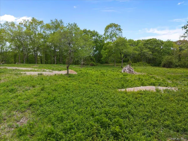 a green field with lots of bushes