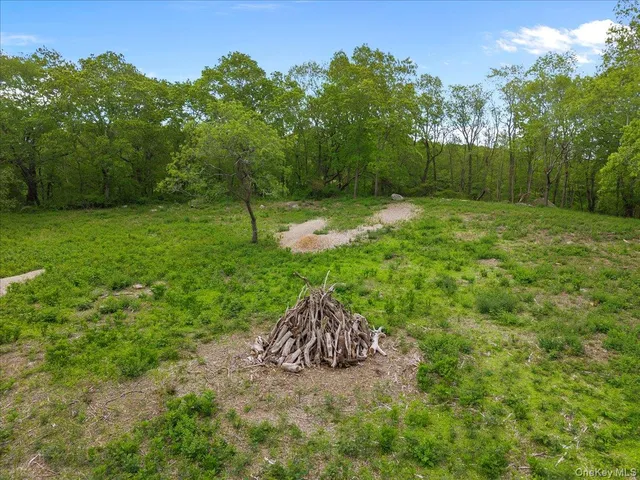 a view of a garden with a fountain