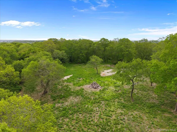 a view of a bunch of trees in a field