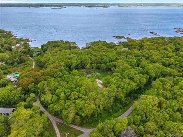 a view of a large green field with lots of plants