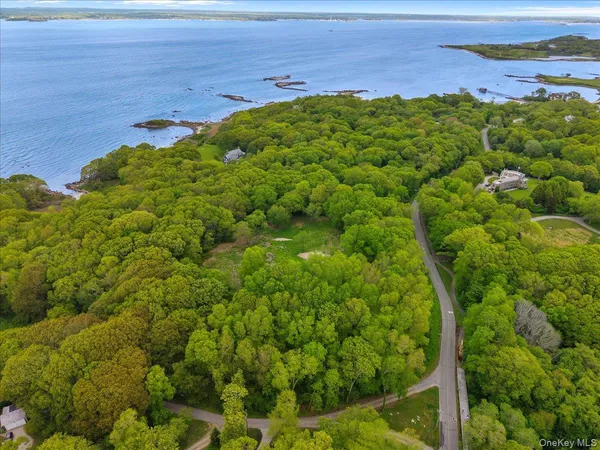 a view of an ocean and a yard