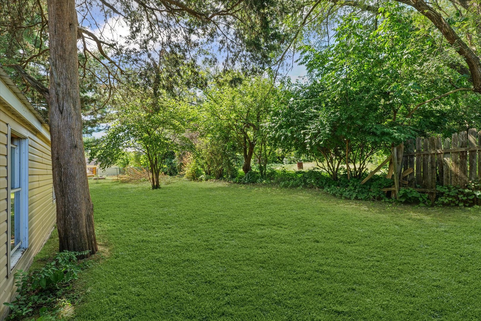 1507 North Ridgeway Avenue Champaign, IL 61821 - Photo 46 of 47 a view of a trees in a yard