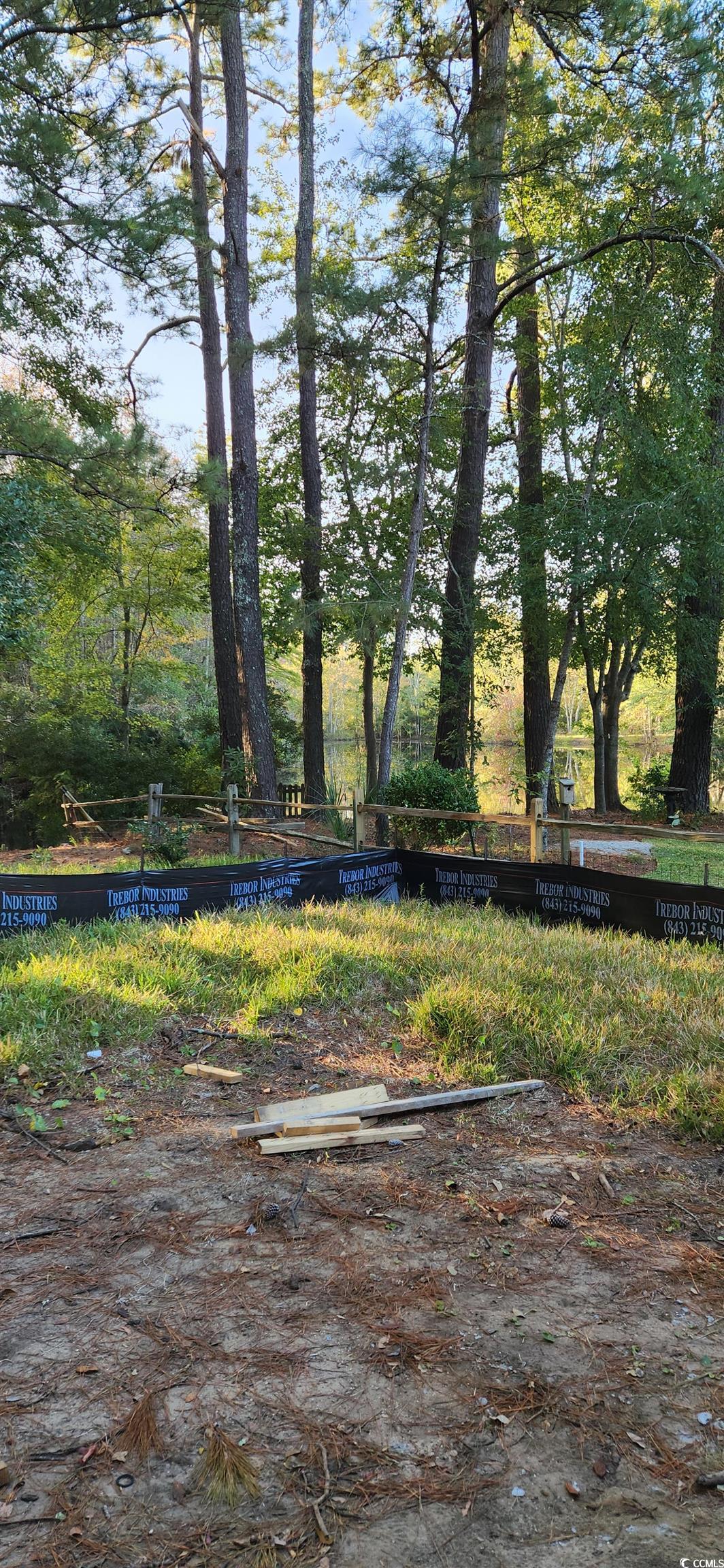 51 Red Maple Drive Pawleys Island, SC 29585 - Photo 8 of 16 View of yard