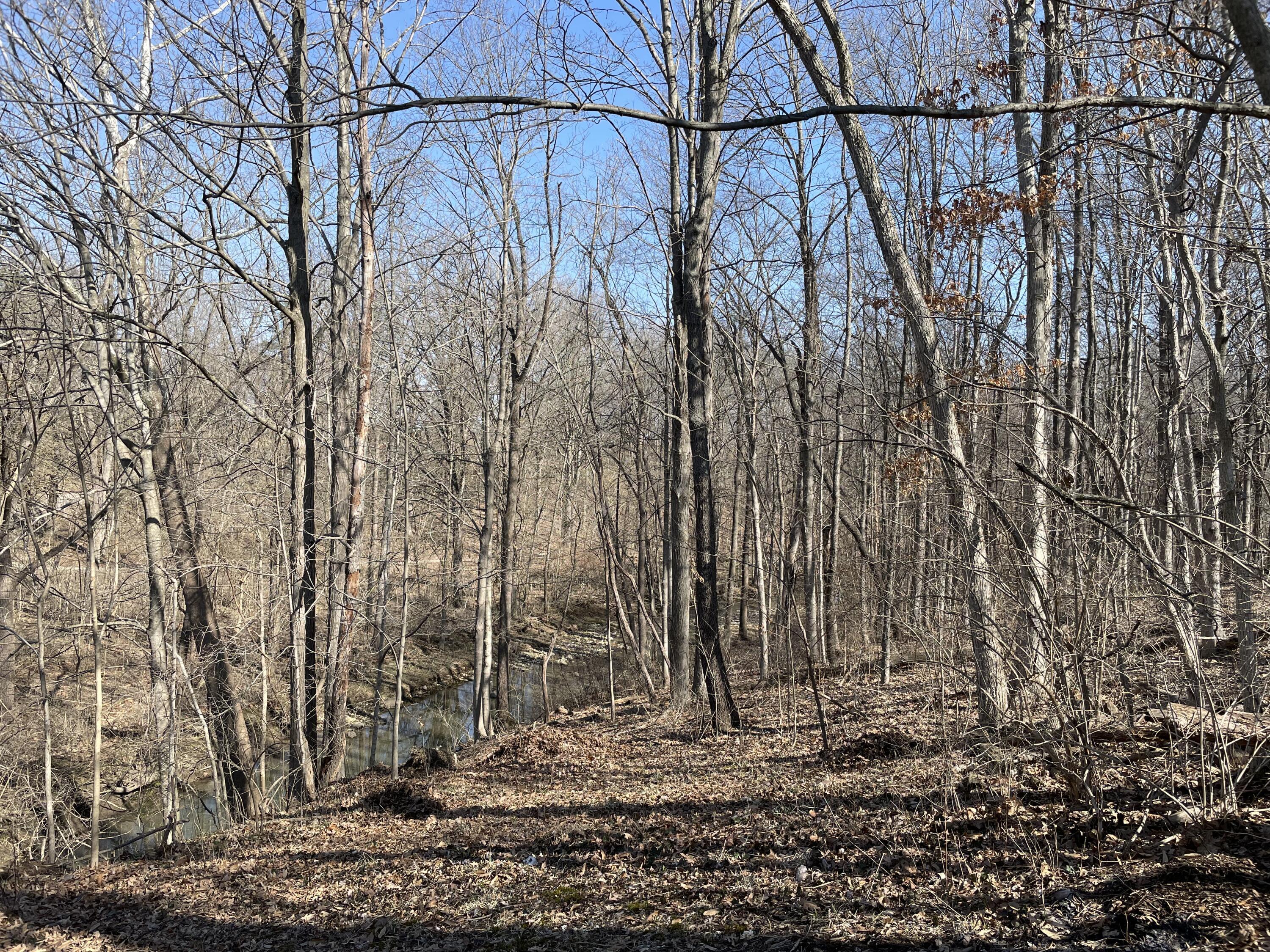 33 Main Road Delaware, OH 43015 - Photo 29 of 30 Backs to Delaware State Park