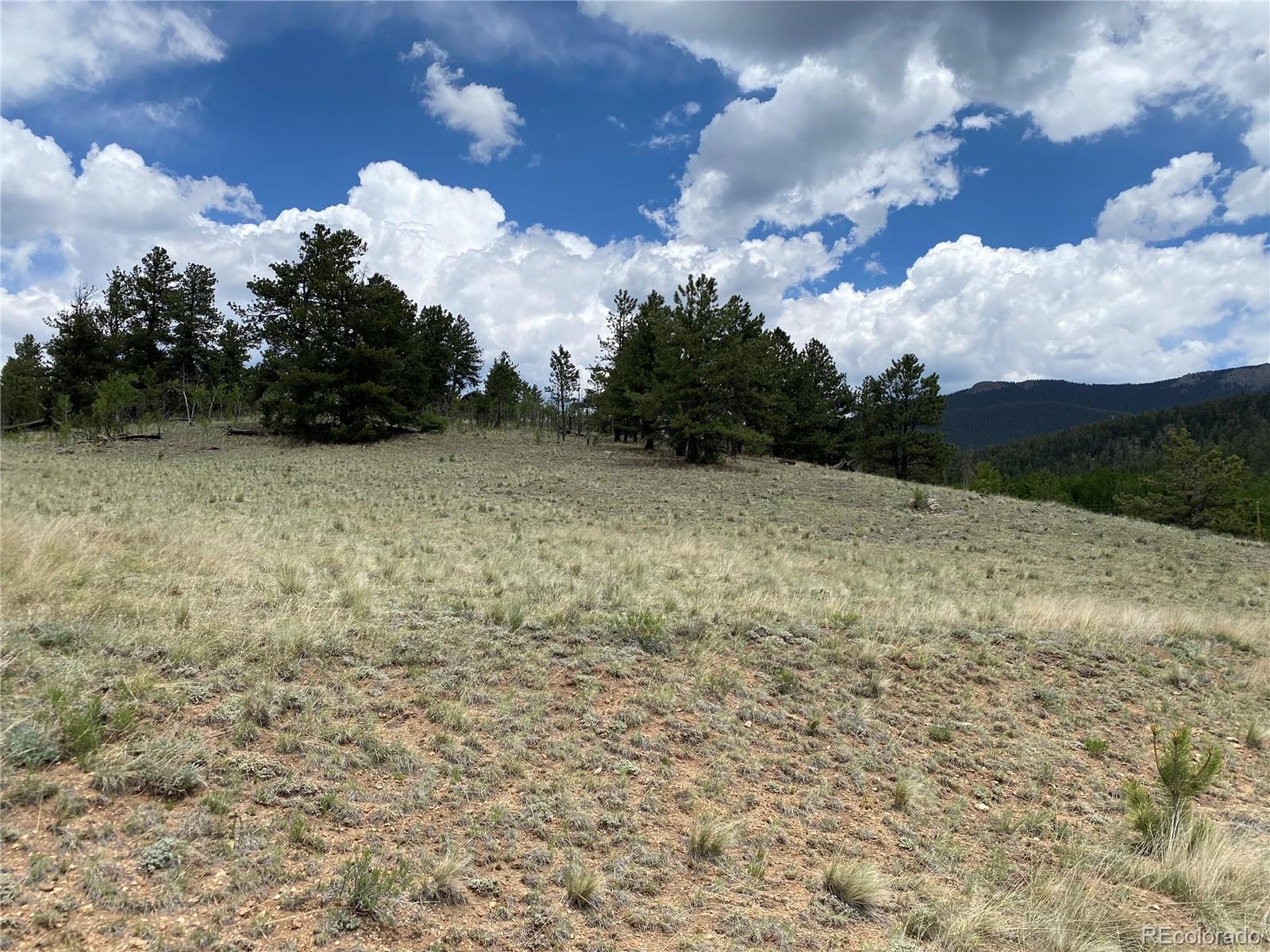 -tbd Al Gulch Road Jefferson, CO 80456 - Photo 3 of 16