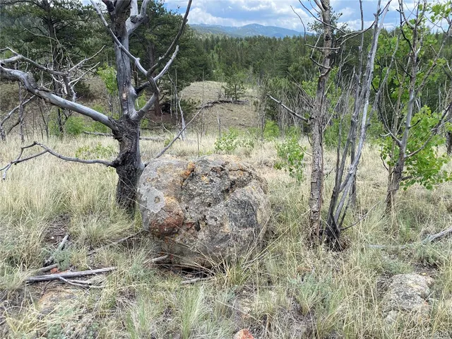 $110,000 | -tbd Al Gulch Road, Jefferson, CO 80456