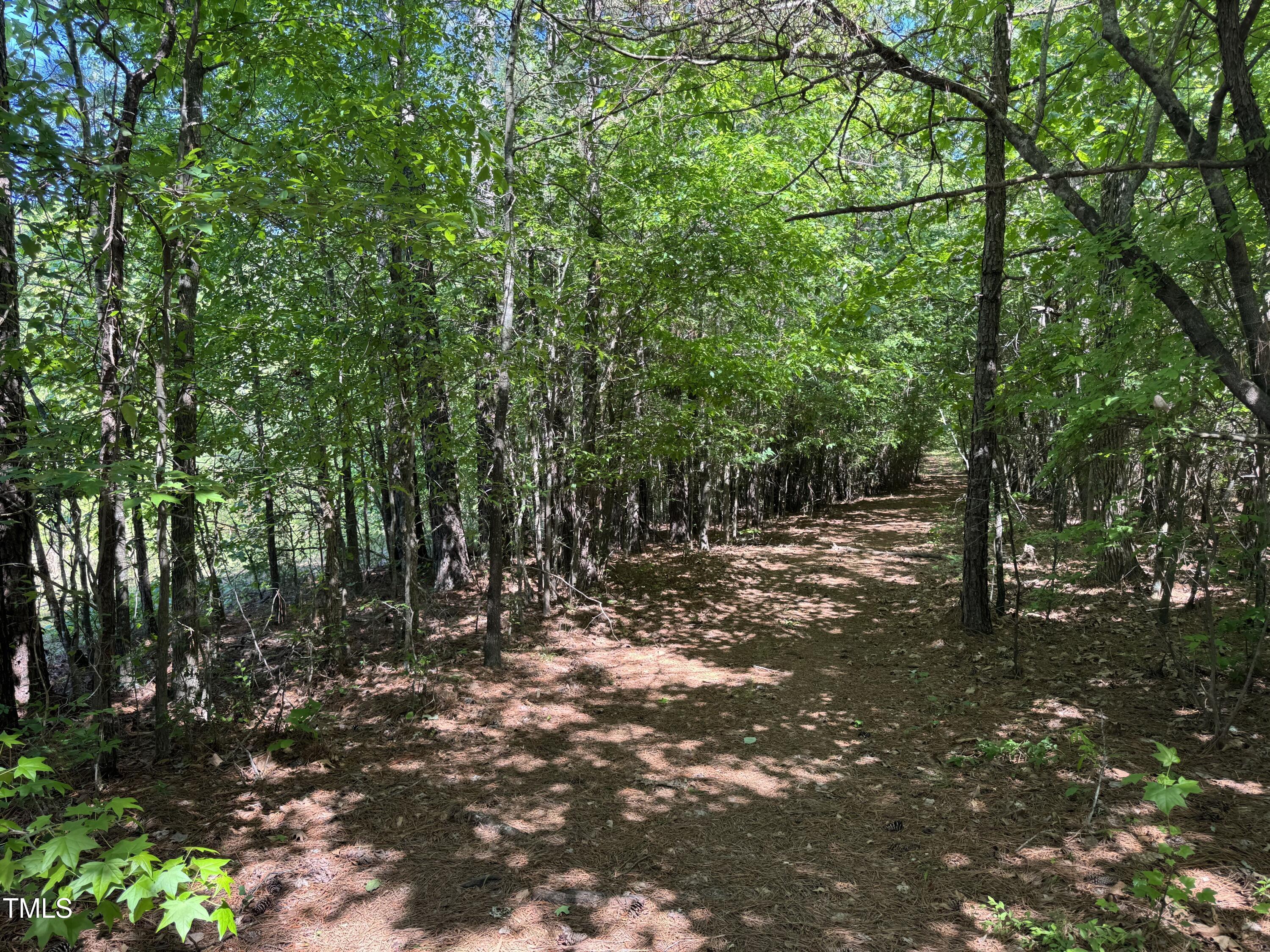 1000 Hopson Road Extension Durham, NC 27713 - Photo 16 of 18 a view of a forest with trees