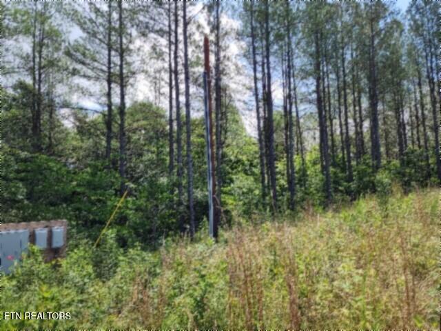 674 Rhodas Way Sunbright, TN 37872 - Photo 4 of 37 20260629_122142