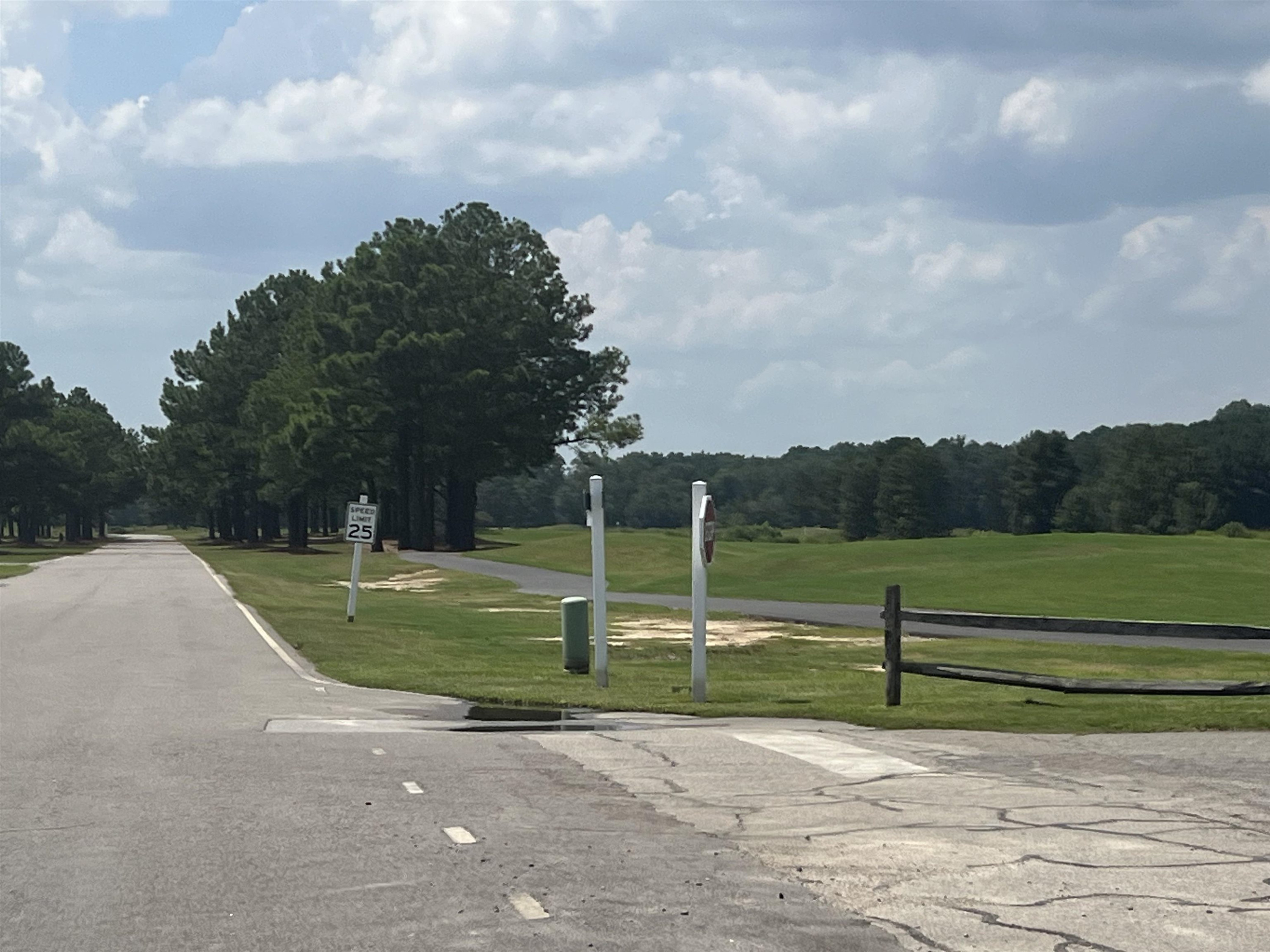 709 Thrush Drive Vass, NC 28394 - Photo 4 of 9 a view of a park