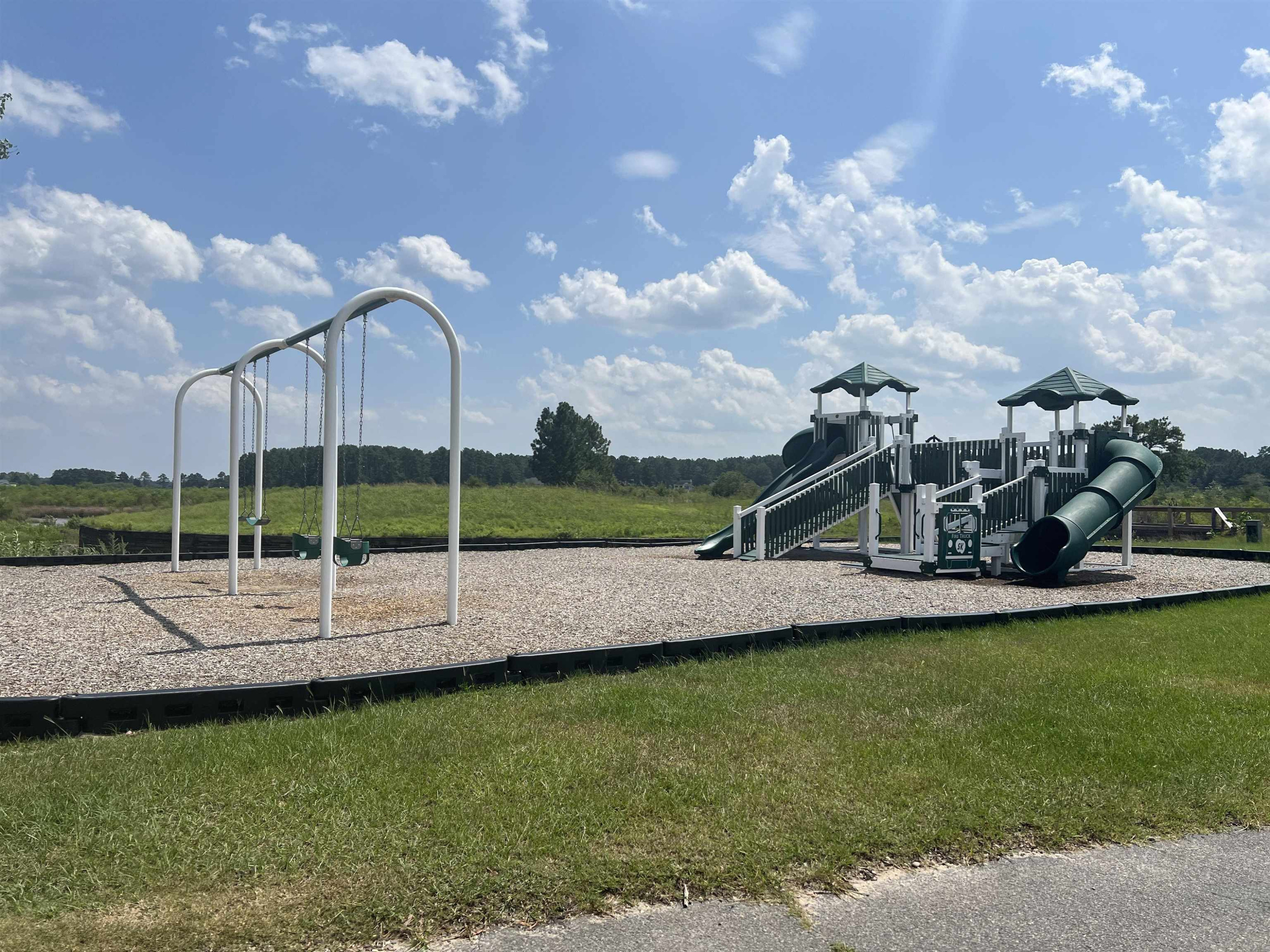 709 Thrush Drive Vass, NC 28394 - Photo 8 of 9 a view of a garden with swimming pool