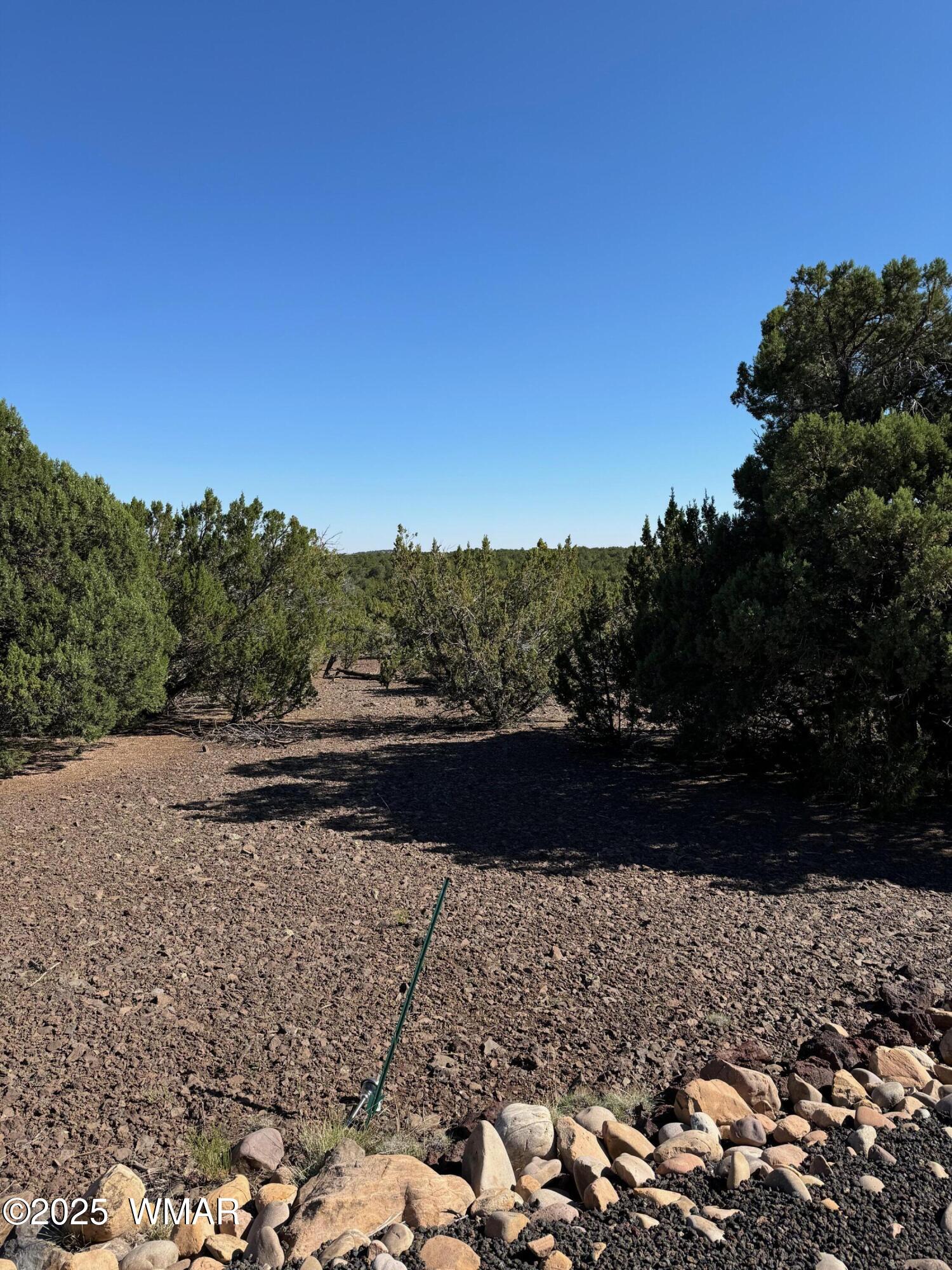 45 County Road Concho, AZ 85924 - Photo 3 of 9 45 County Road 8145
