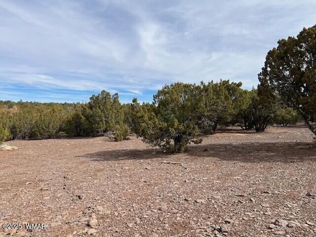 45 County Road Concho, AZ 85924 - Photo 5 of 9 004_Level