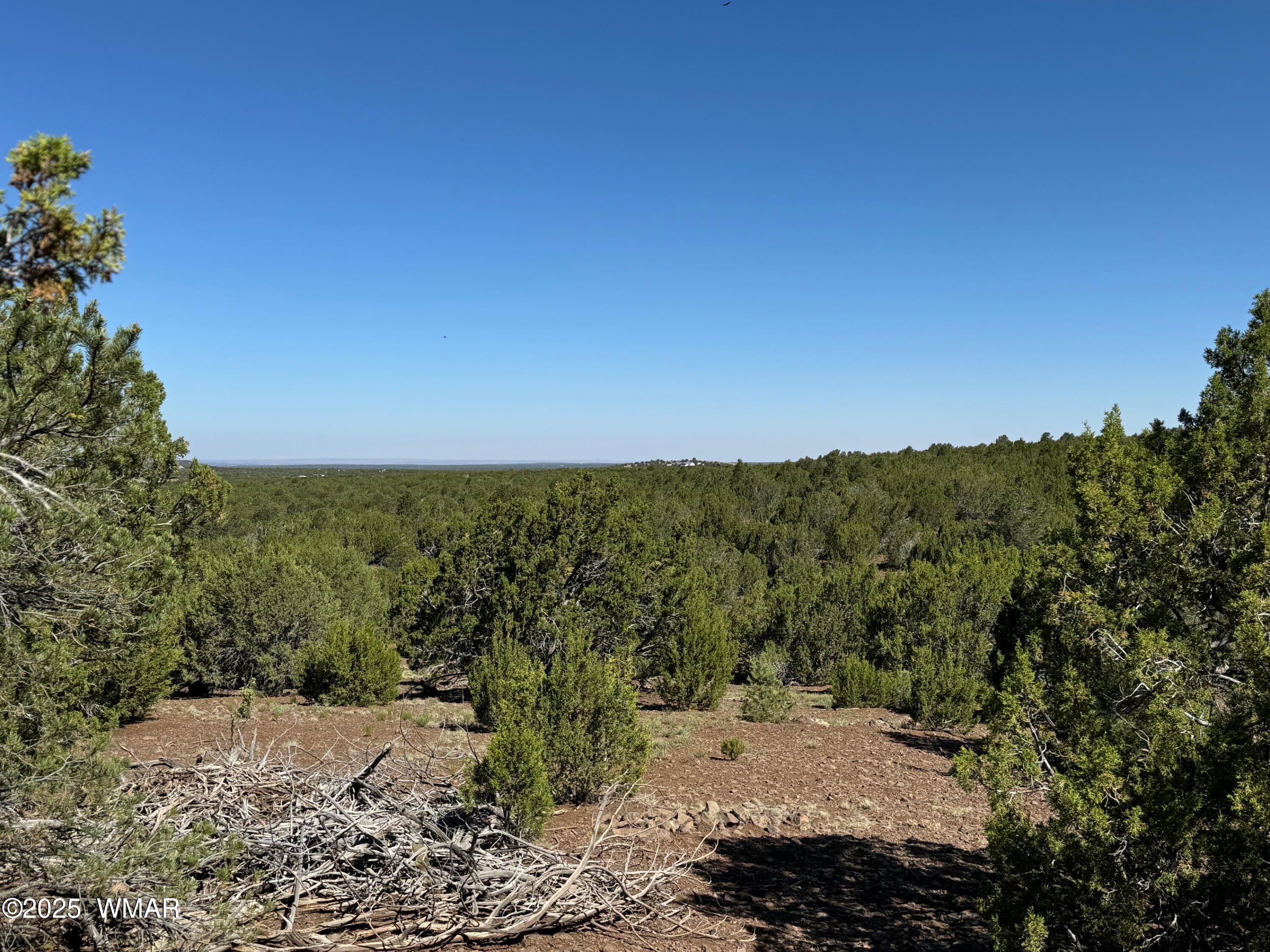 45 County Road Concho, AZ 85924 - Photo 8 of 9 45 County Road 8145