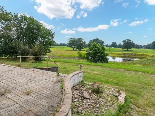 a view of a park with large trees