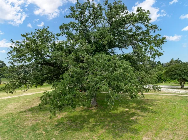 a view of a lake with a yard