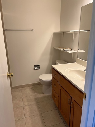 249 Shadow Bend Drive, Unit 249 Wheeling, IL 60090 - Photo 11 of 17 a bathroom with a sink a toilet and a mirror