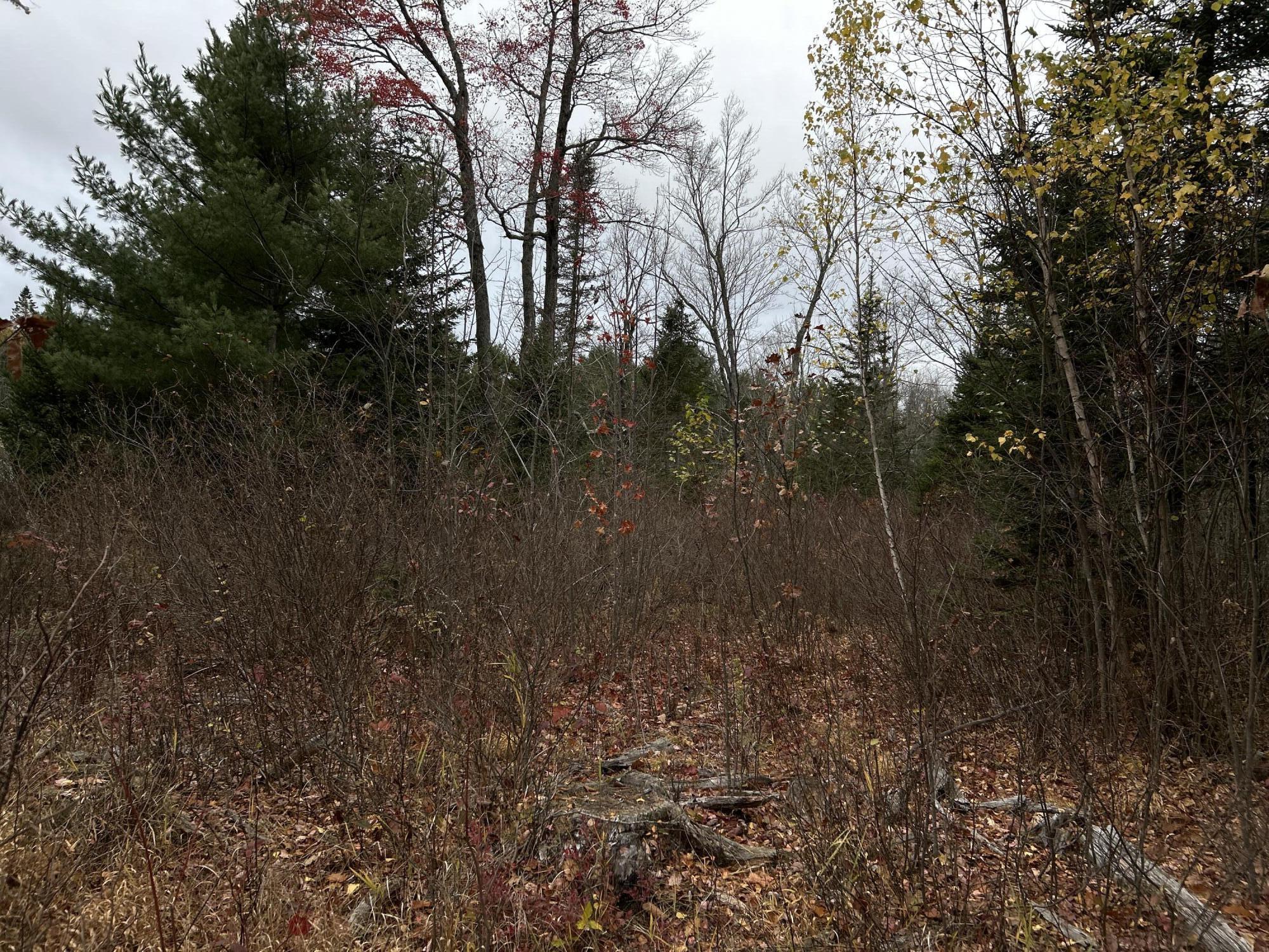 M4-l18 Bog Road Jackson, ME 04921 - Photo 11 of 48 IMG_6147