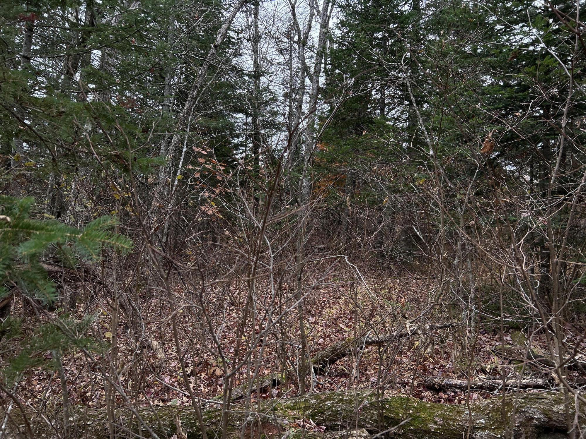 M4-l18 Bog Road Jackson, ME 04921 - Photo 13 of 48 IMG_6158