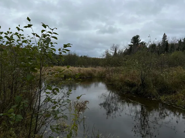 $169,000 | M4-l18 Bog Road, Jackson, ME 04921