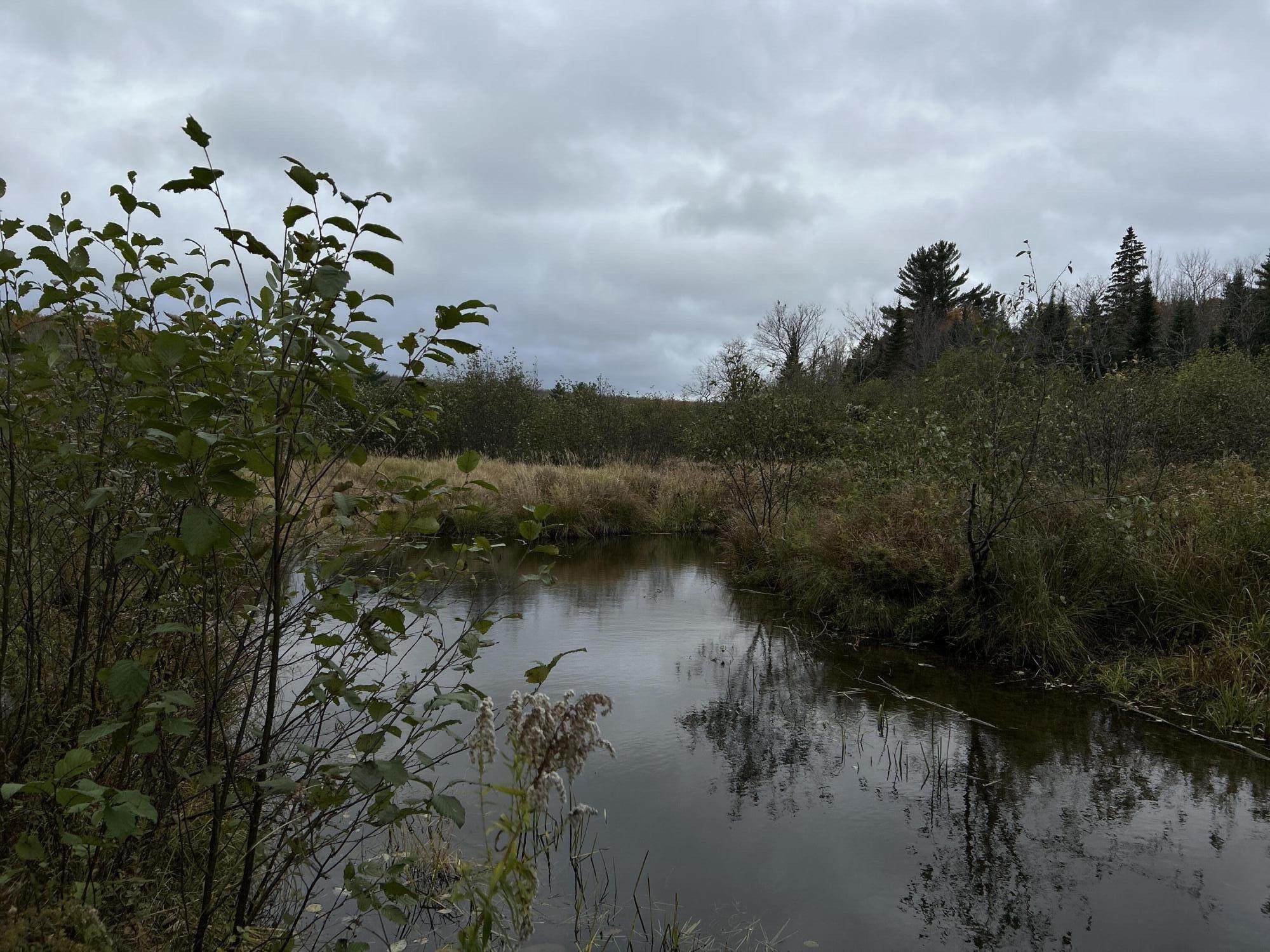 M4-l18 Bog Road Jackson, ME 04921 - Photo 14 of 48 IMG_6154