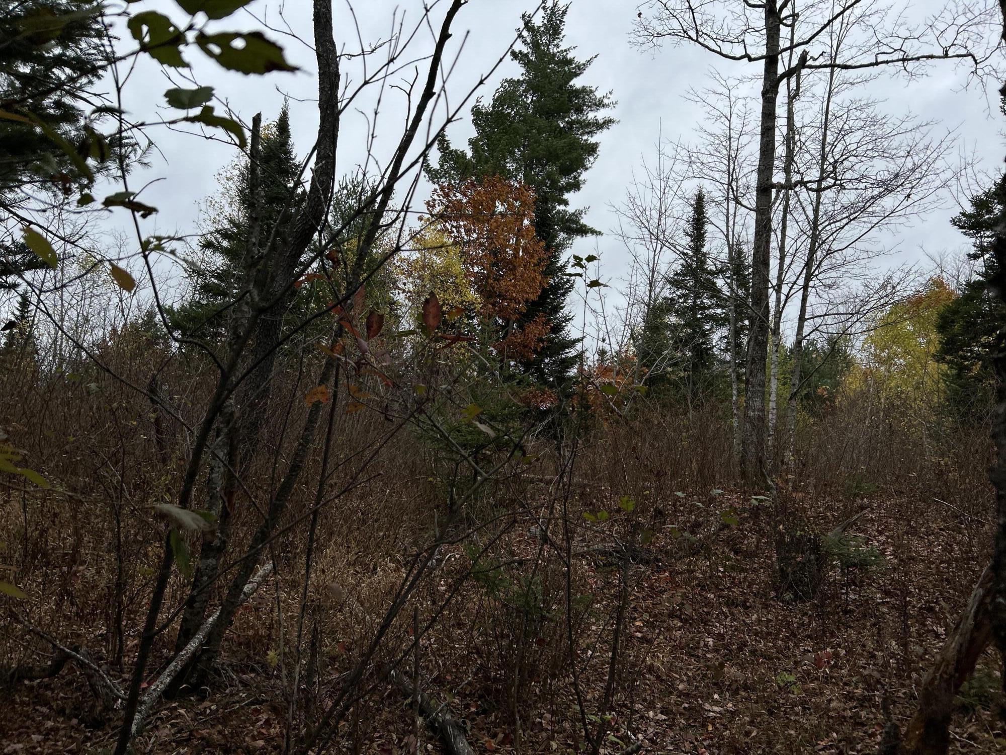 M4-l18 Bog Road Jackson, ME 04921 - Photo 15 of 48 IMG_6152