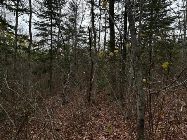 $169,000 | M4-l18 Bog Road, Jackson, ME 04921