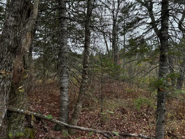 $169,000 | M4-l18 Bog Road, Jackson, ME 04921
