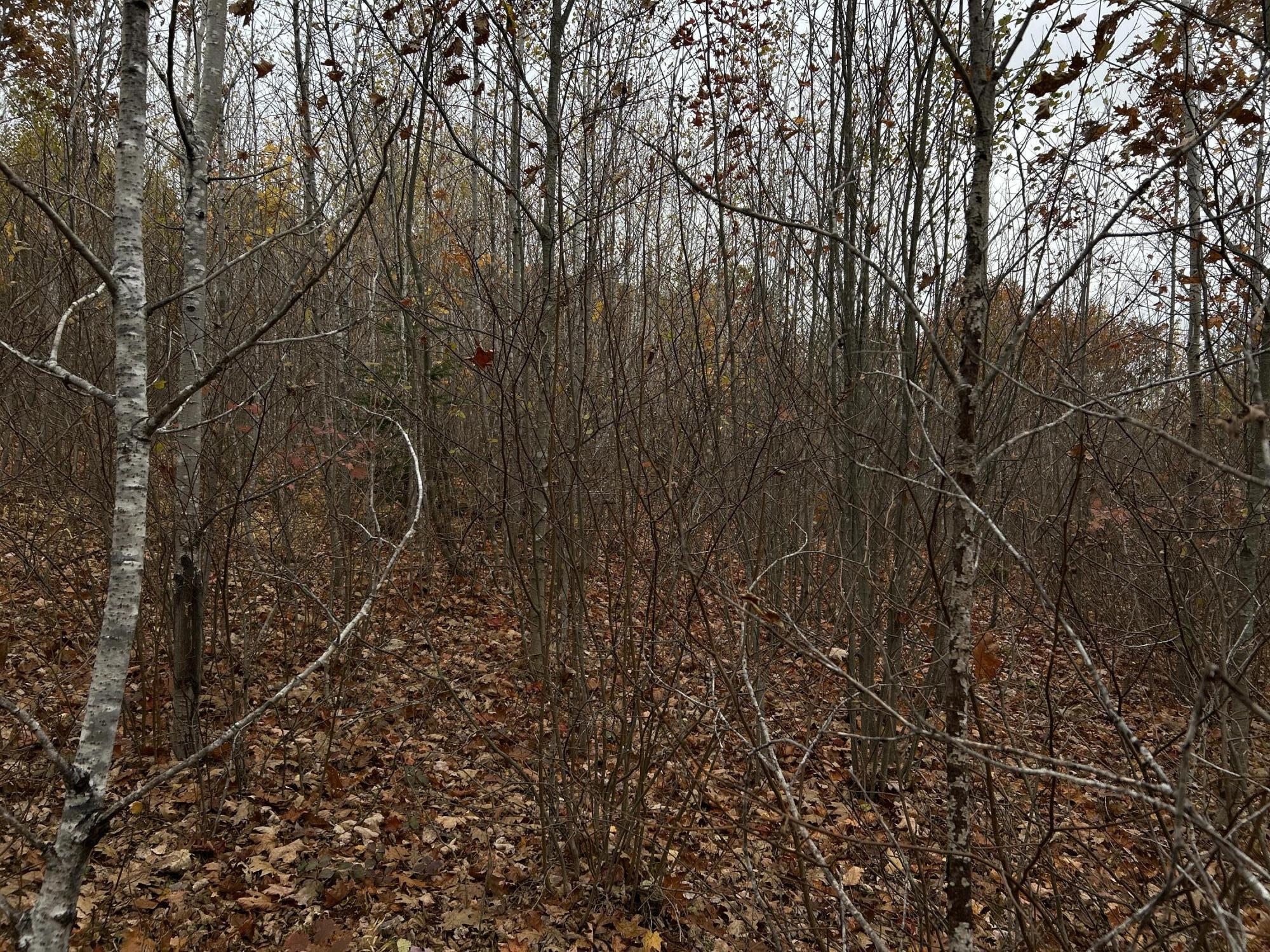 M4-l18 Bog Road Jackson, ME 04921 - Photo 2 of 48 IMG_6145