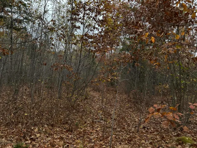 $169,000 | M4-l18 Bog Road, Jackson, ME 04921