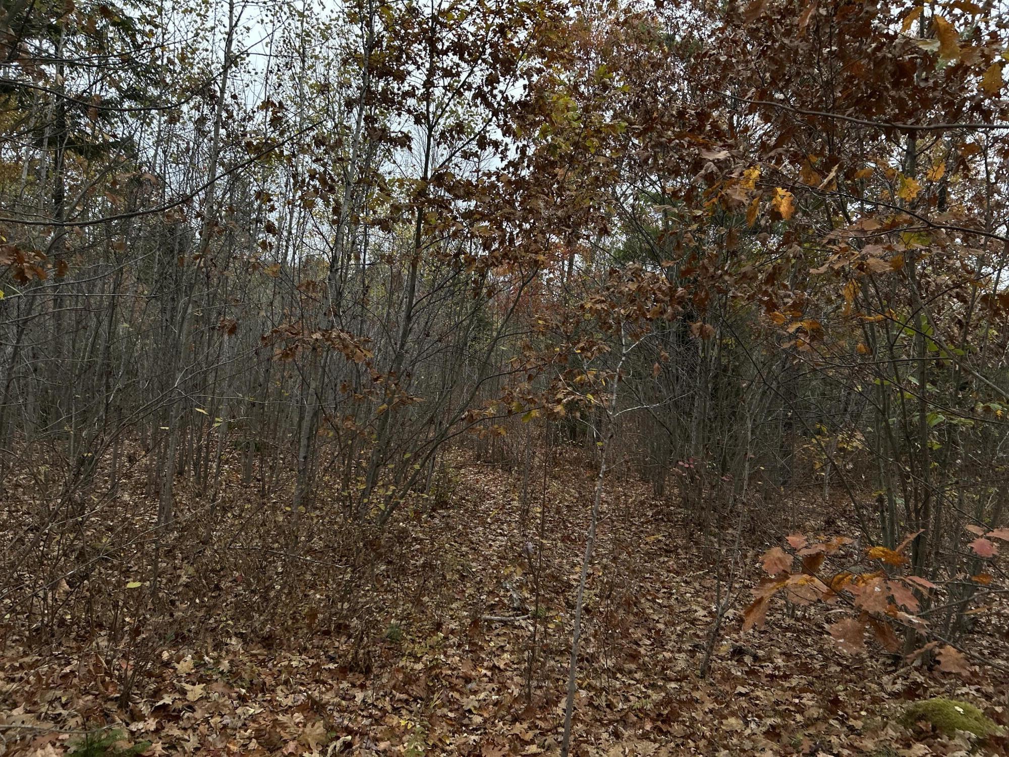 M4-l18 Bog Road Jackson, ME 04921 - Photo 22 of 48 IMG_6177