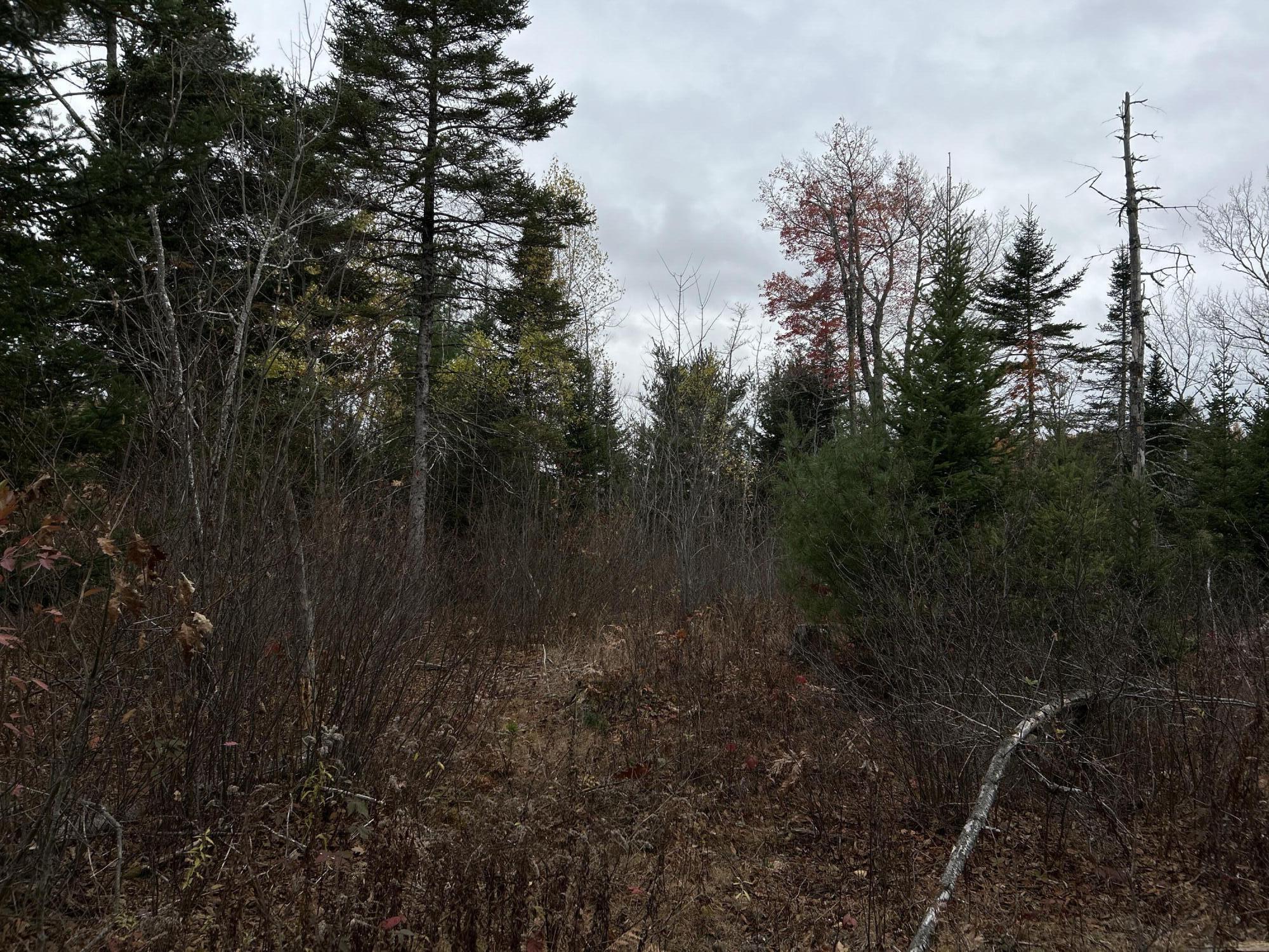 M4-l18 Bog Road Jackson, ME 04921 - Photo 23 of 48 IMG_6168