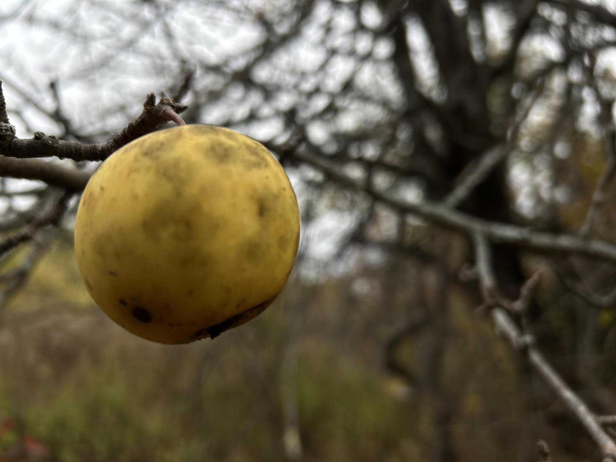 M4-l18 Bog Road Jackson, ME 04921 - Photo 24 of 48 IMG_6184