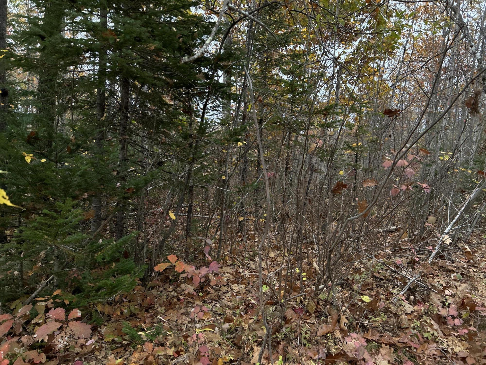 M4-l18 Bog Road Jackson, ME 04921 - Photo 25 of 48 IMG_6181