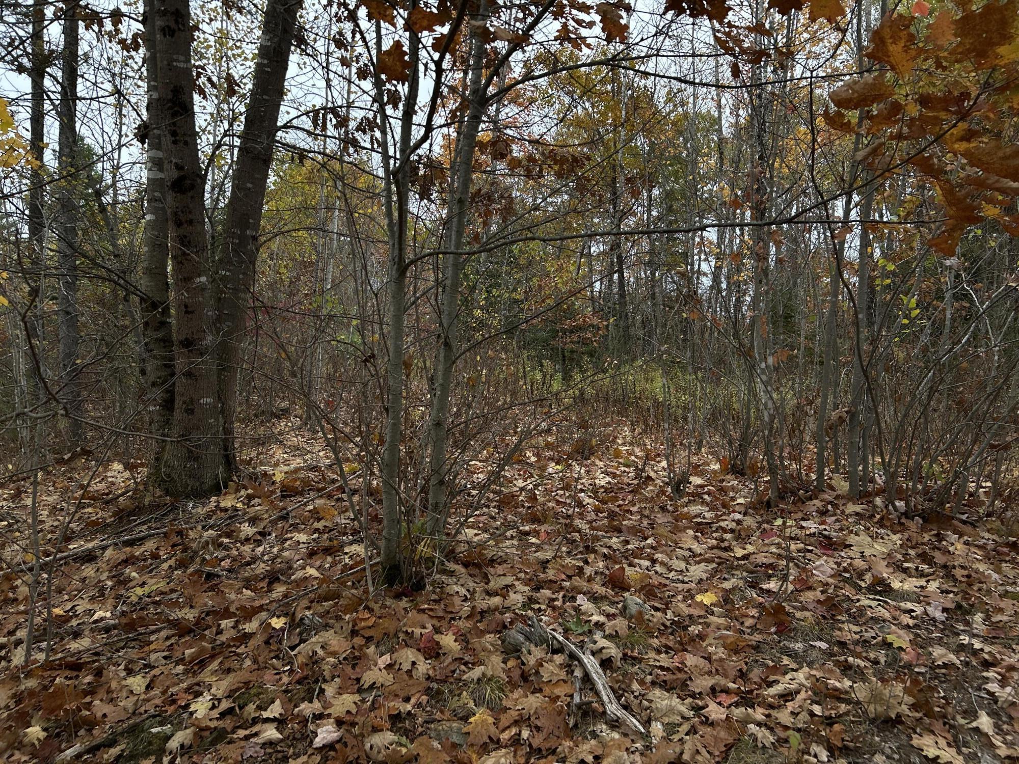 M4-l18 Bog Road Jackson, ME 04921 - Photo 26 of 48 IMG_6176