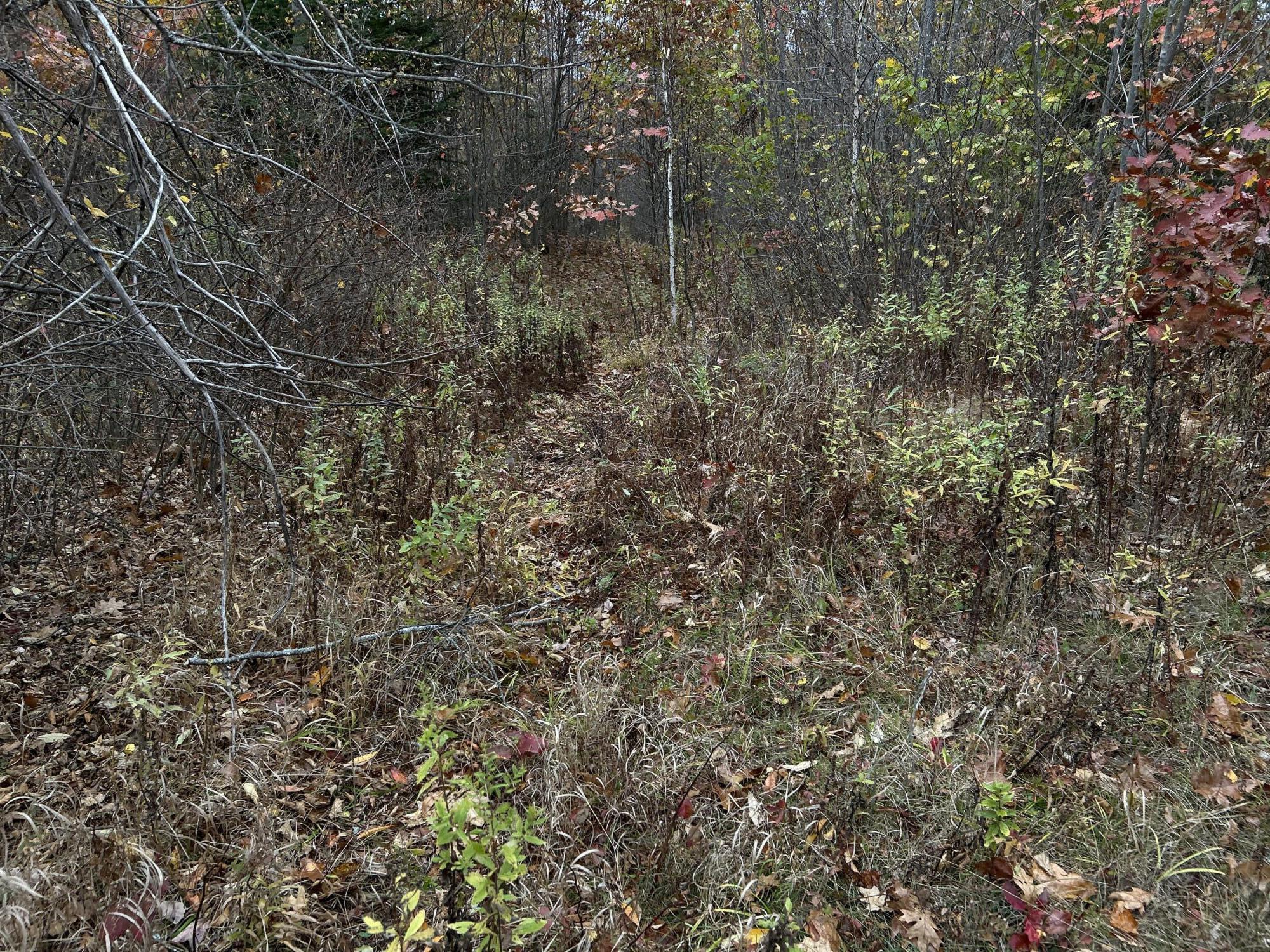 M4-l18 Bog Road Jackson, ME 04921 - Photo 28 of 48 IMG_6186